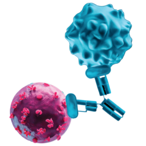 T Cell Engager for Autoimmune Disease Logo